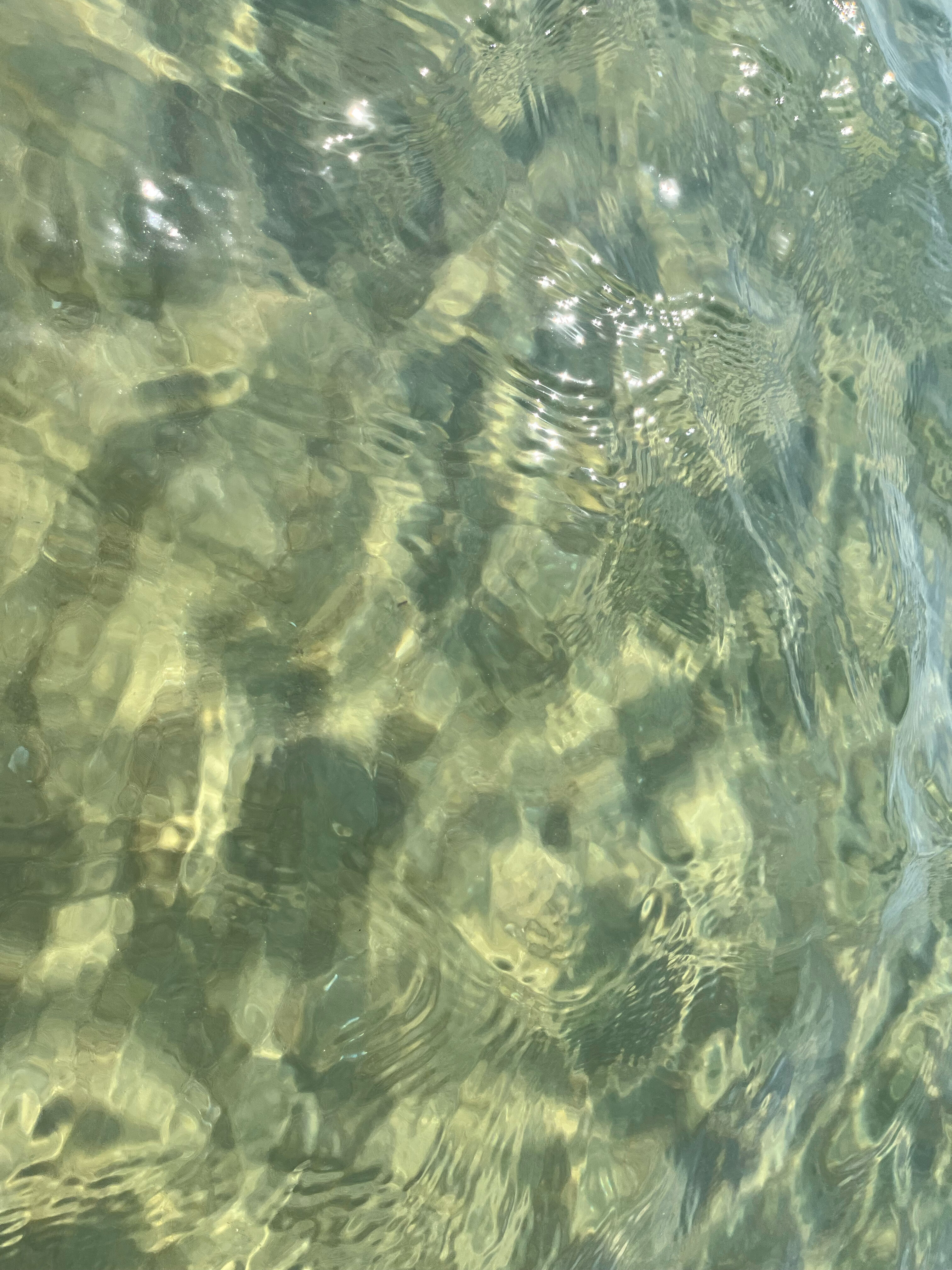 Фото Клевер