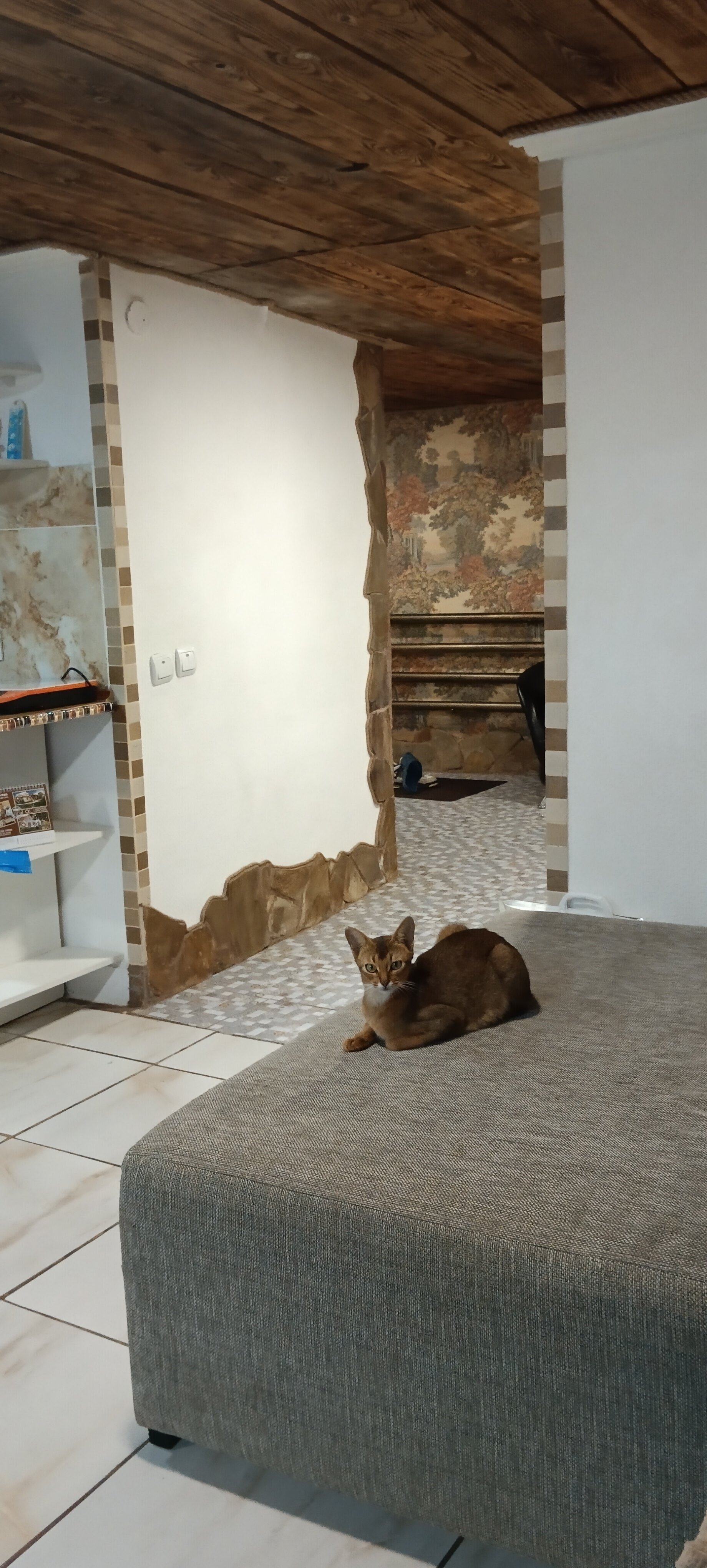 Фото Виктория