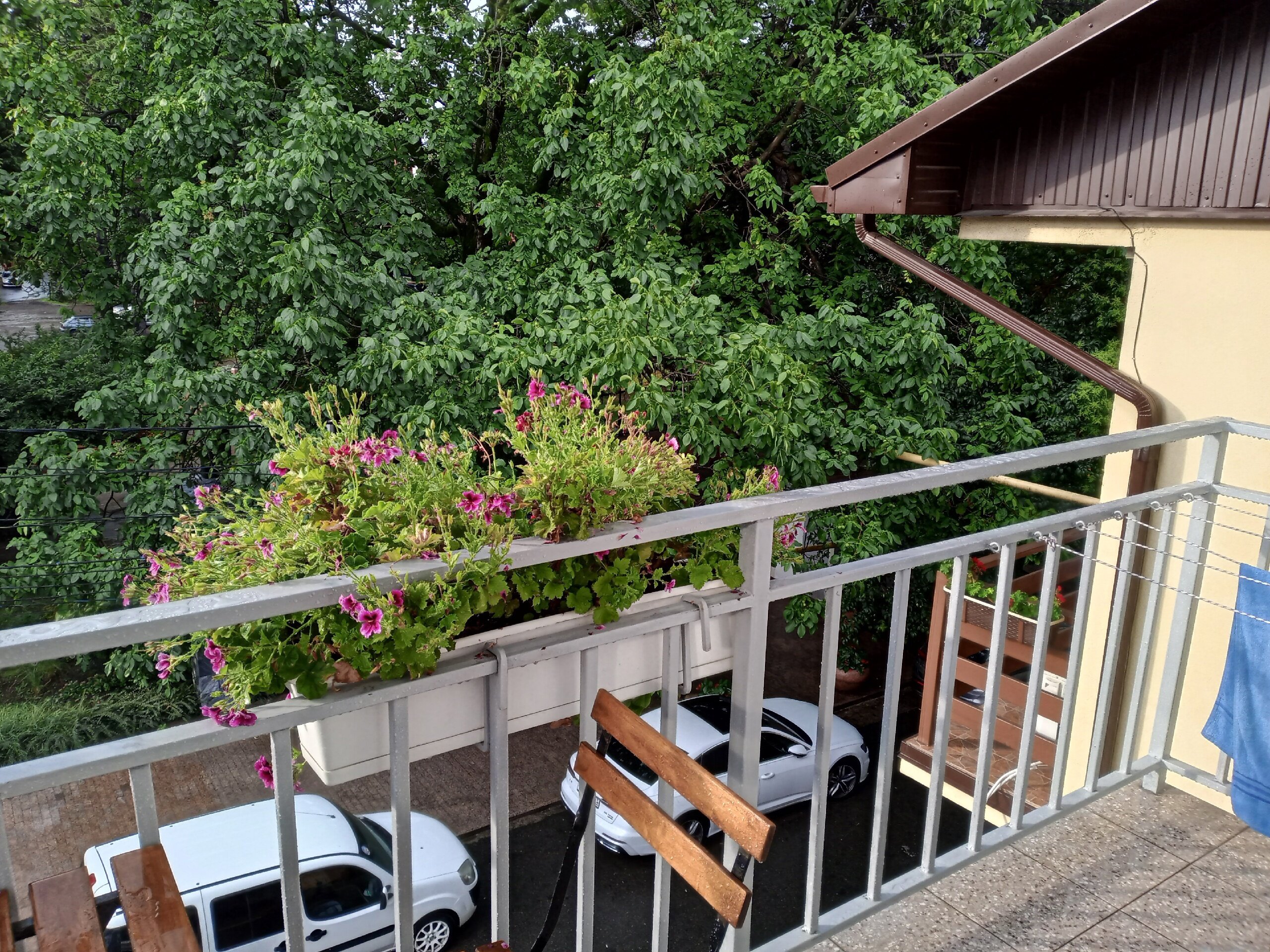 Фото Гостевой дом на улице Калараша 17а