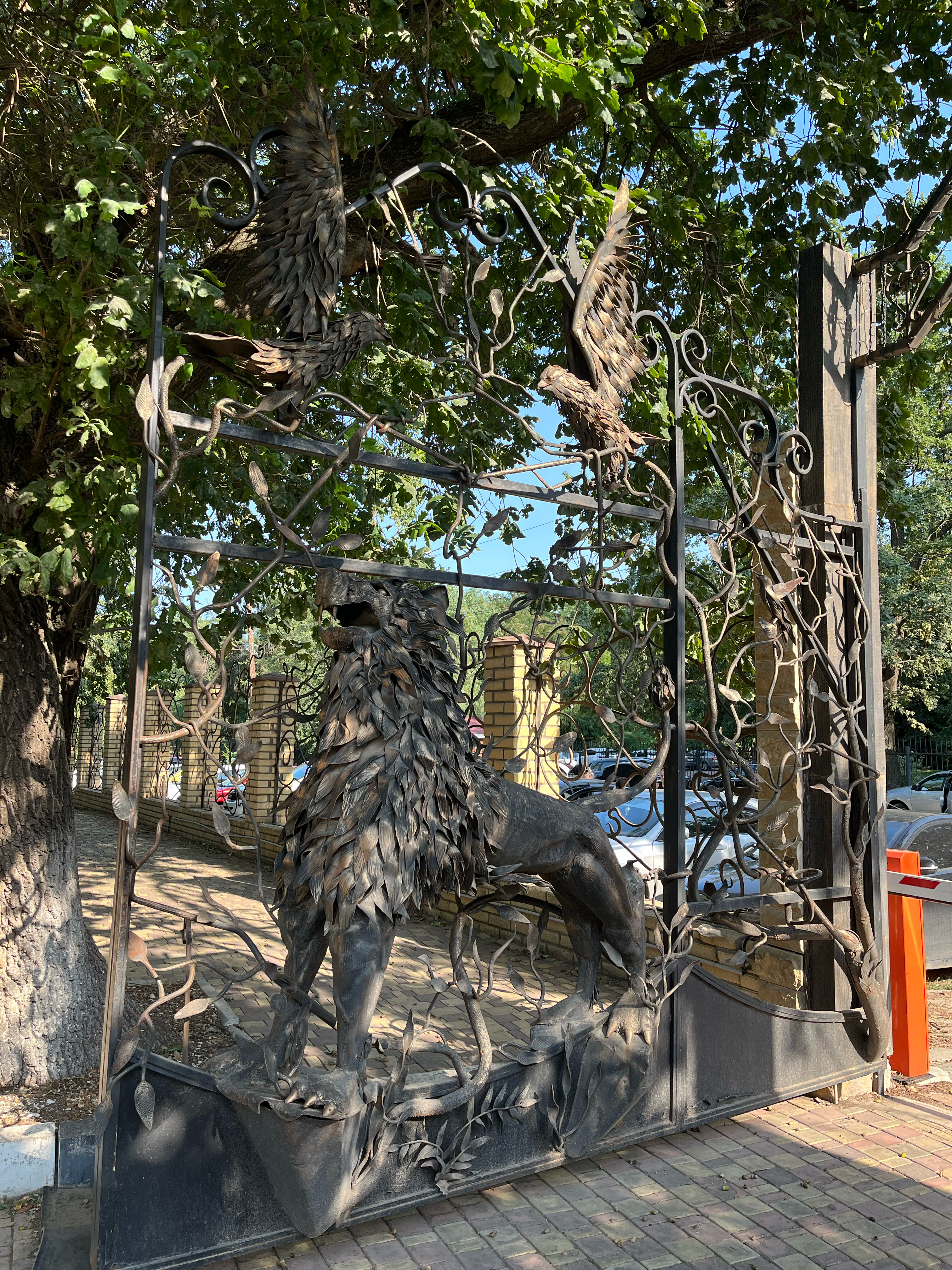 Фото Дубовая Роща