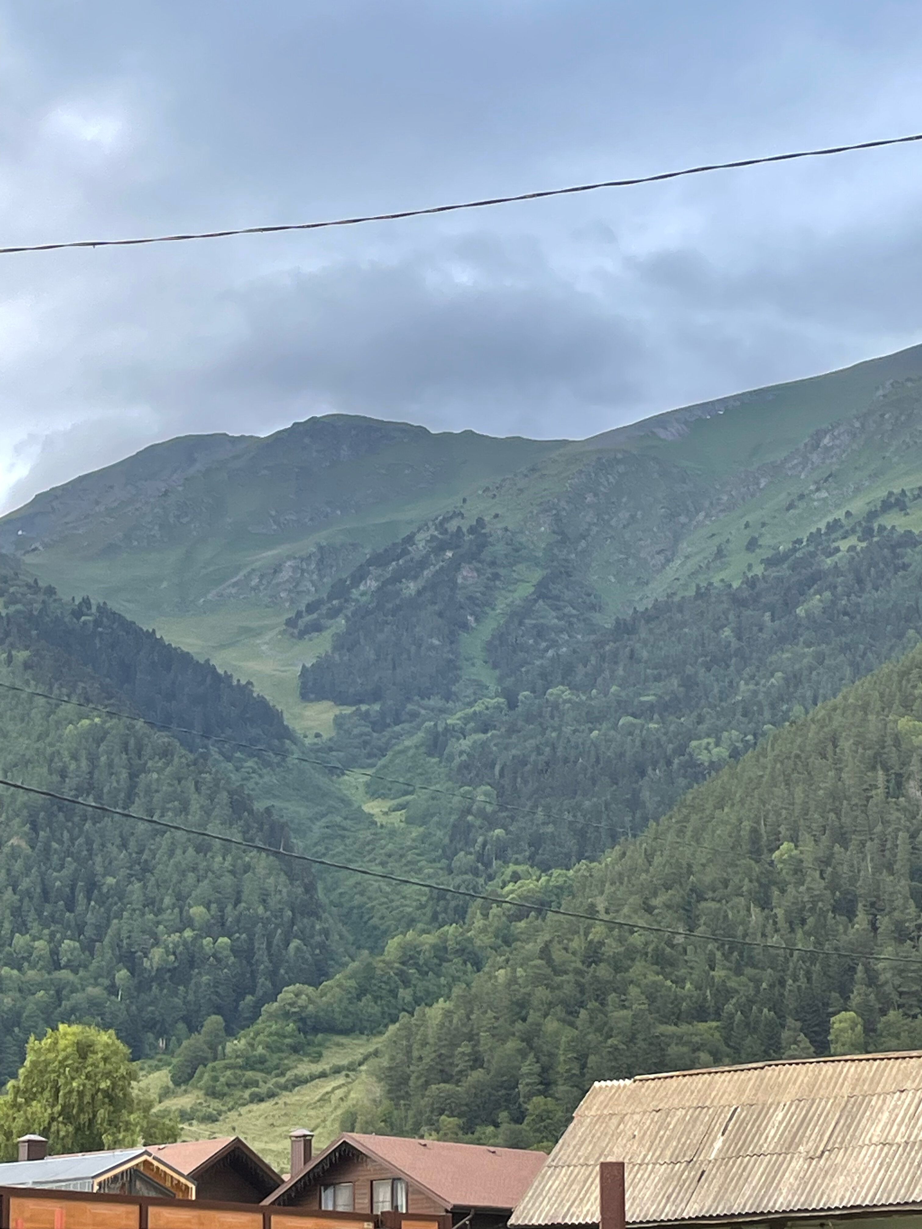 Фото Тамерлан