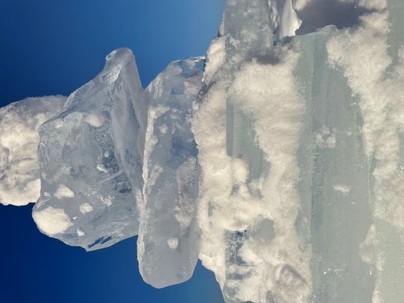 Фото Baikal Best Edelweiss