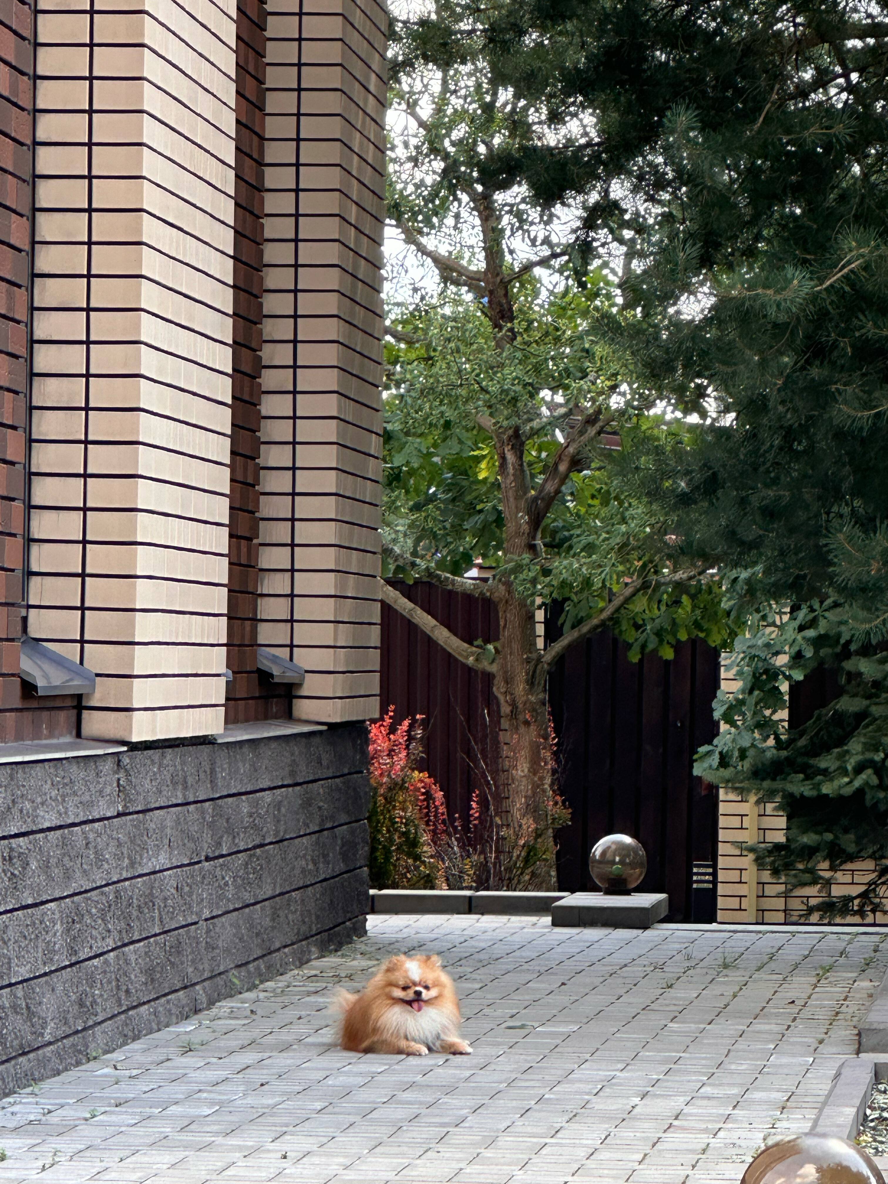 Фото Загородный дом Räisälä