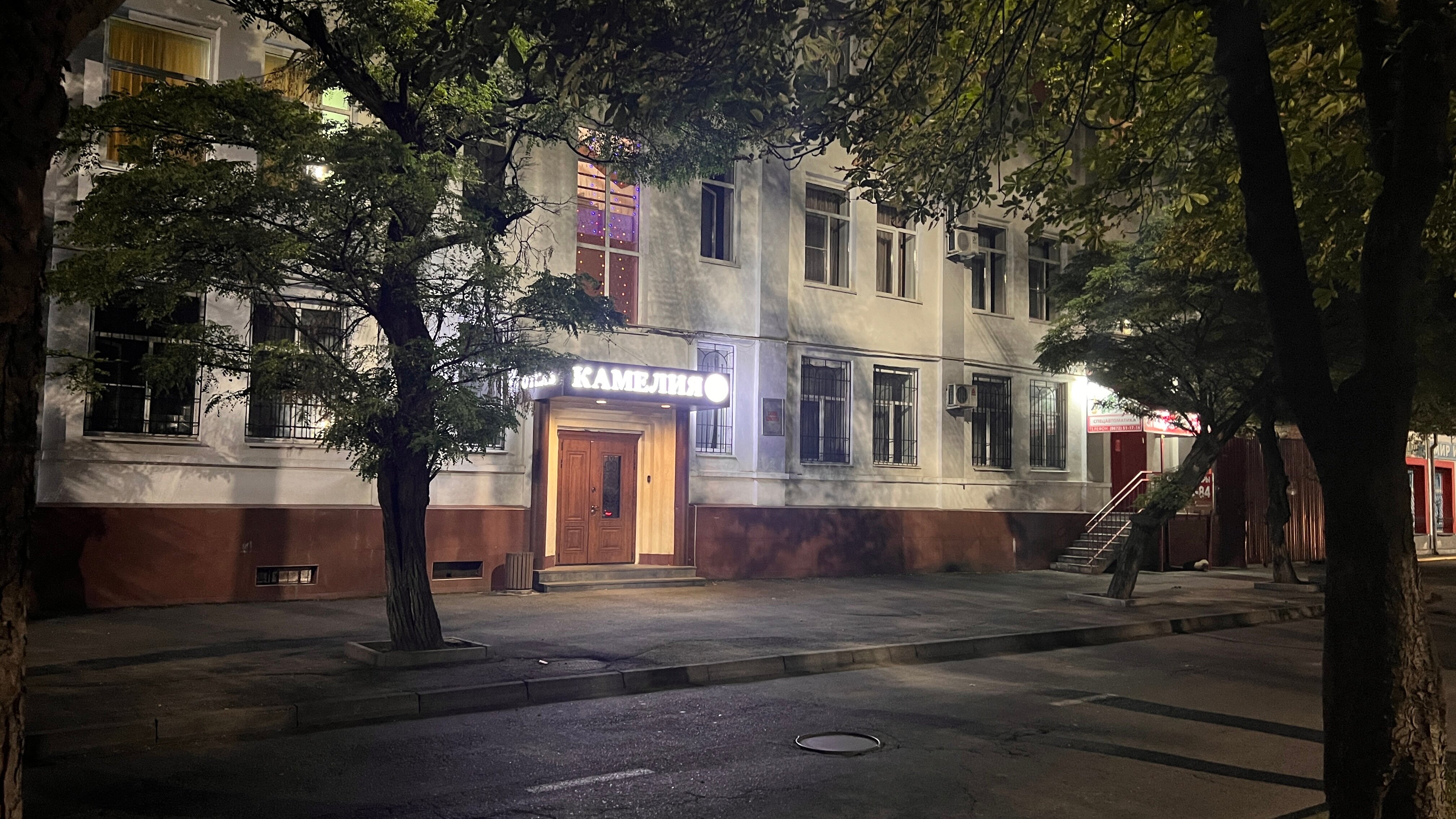 Фото Камелия-В