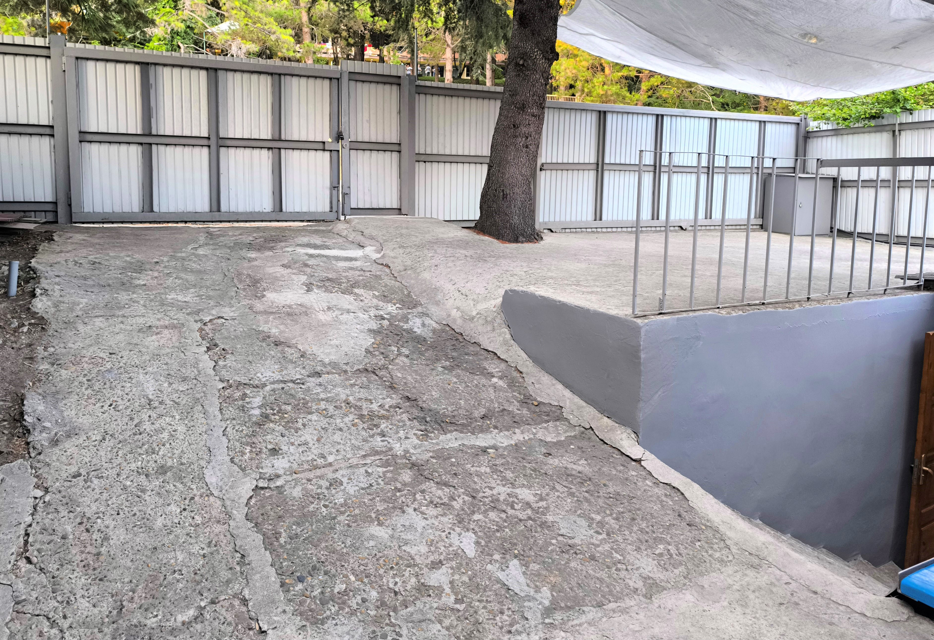 Фото У Кедра