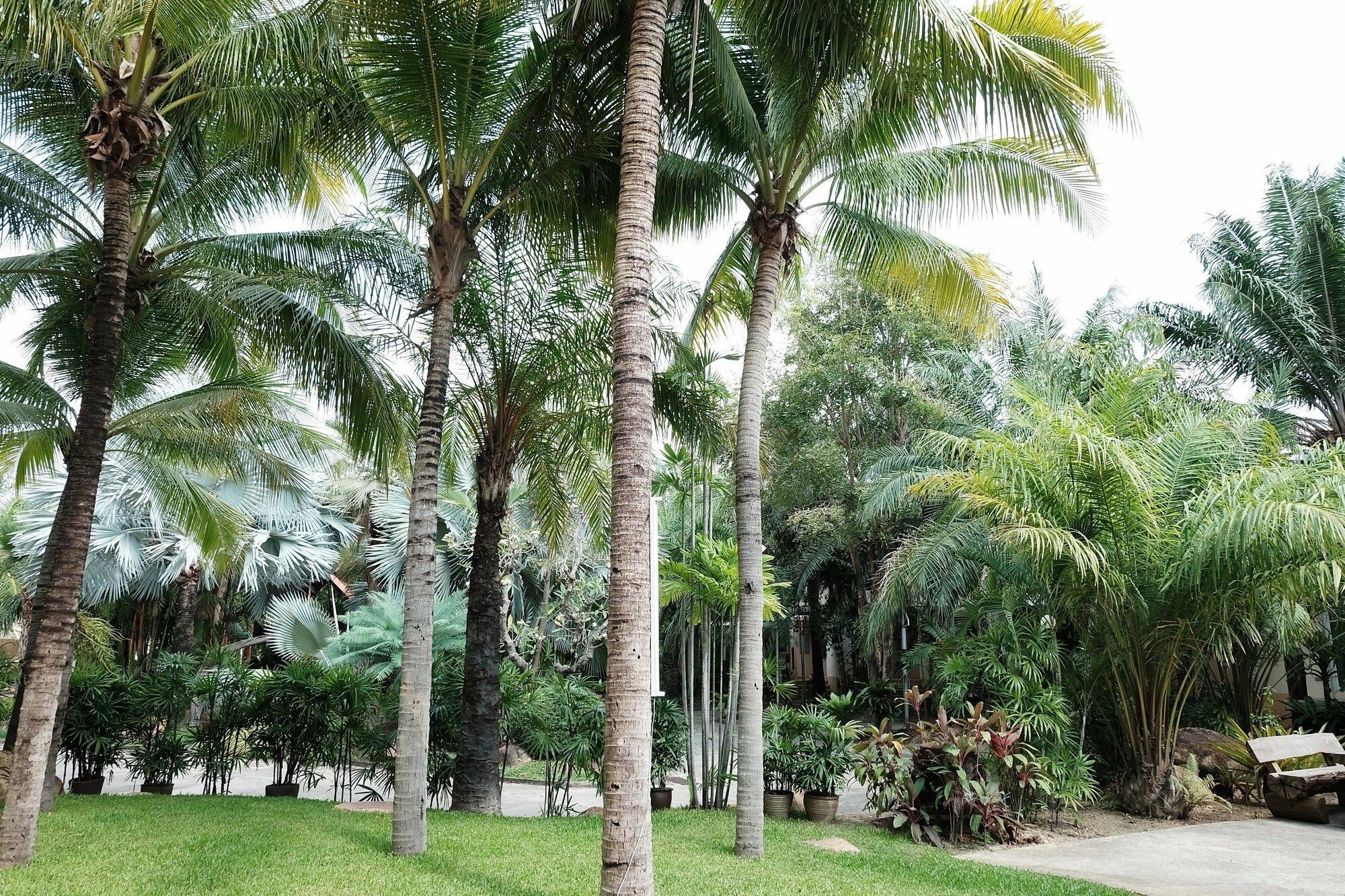 Фото Suanpalm Unique Hotel Rayong