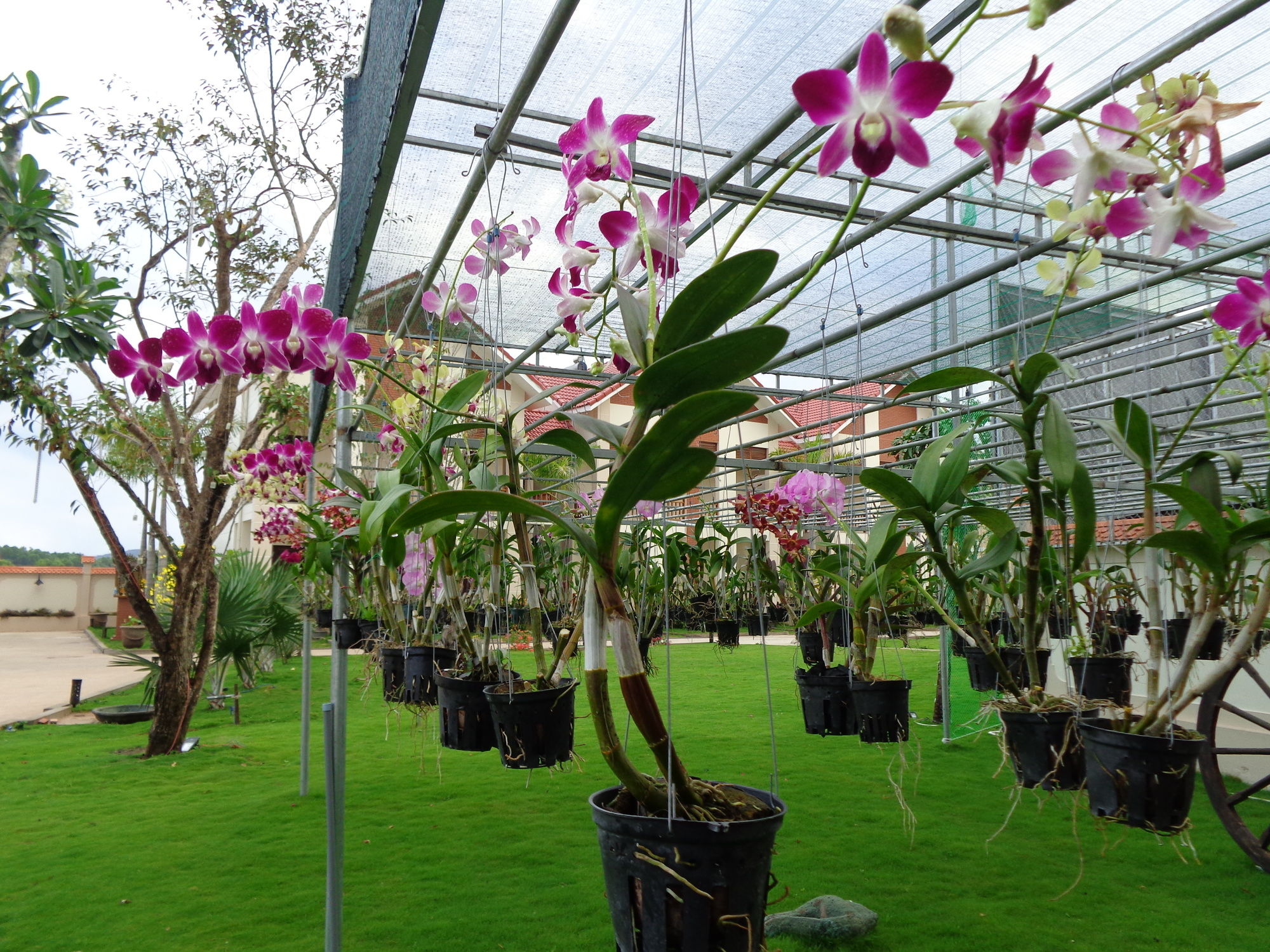 Фото Bach Duong Resort