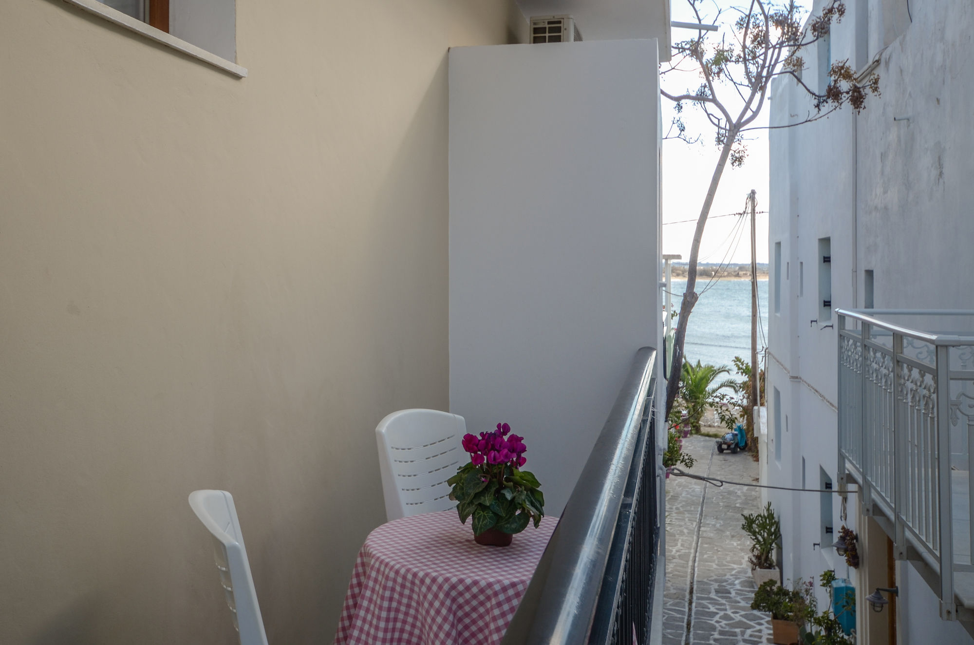 Фото Hotel Panormos