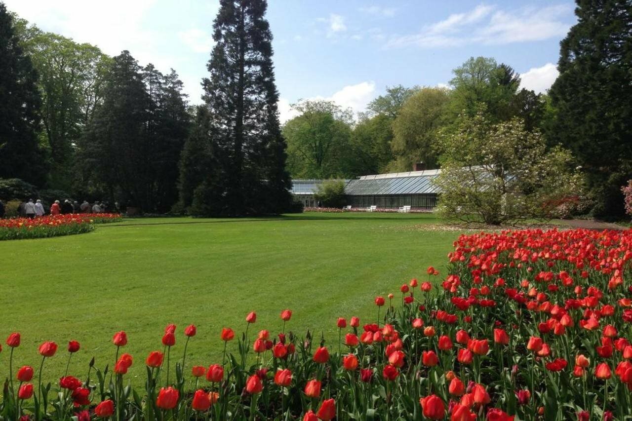 Фото Hotel Wieting Superior