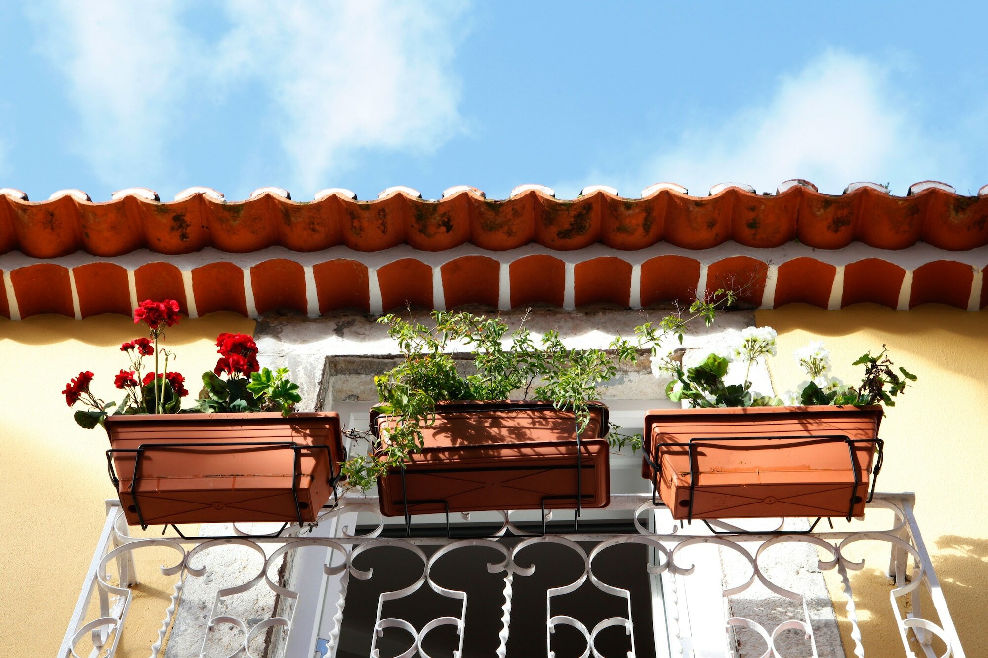 Фото Alfama Yellow House