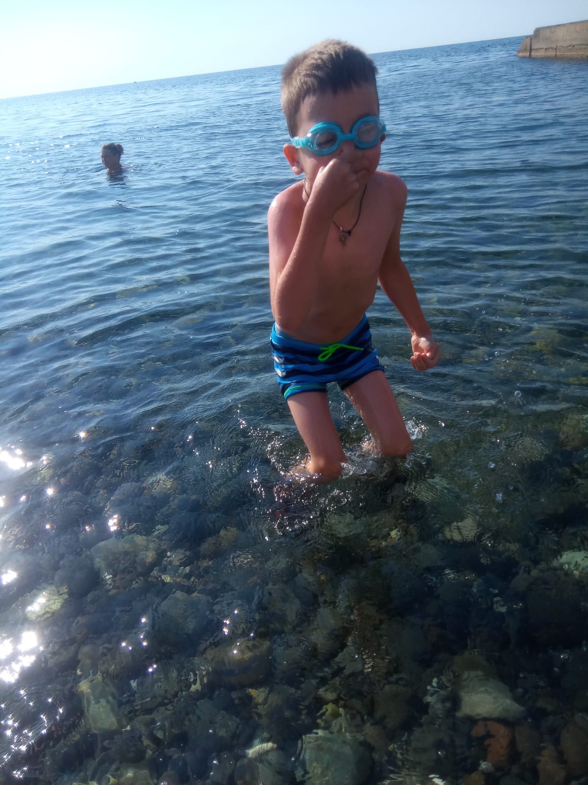 Фото Лаванда