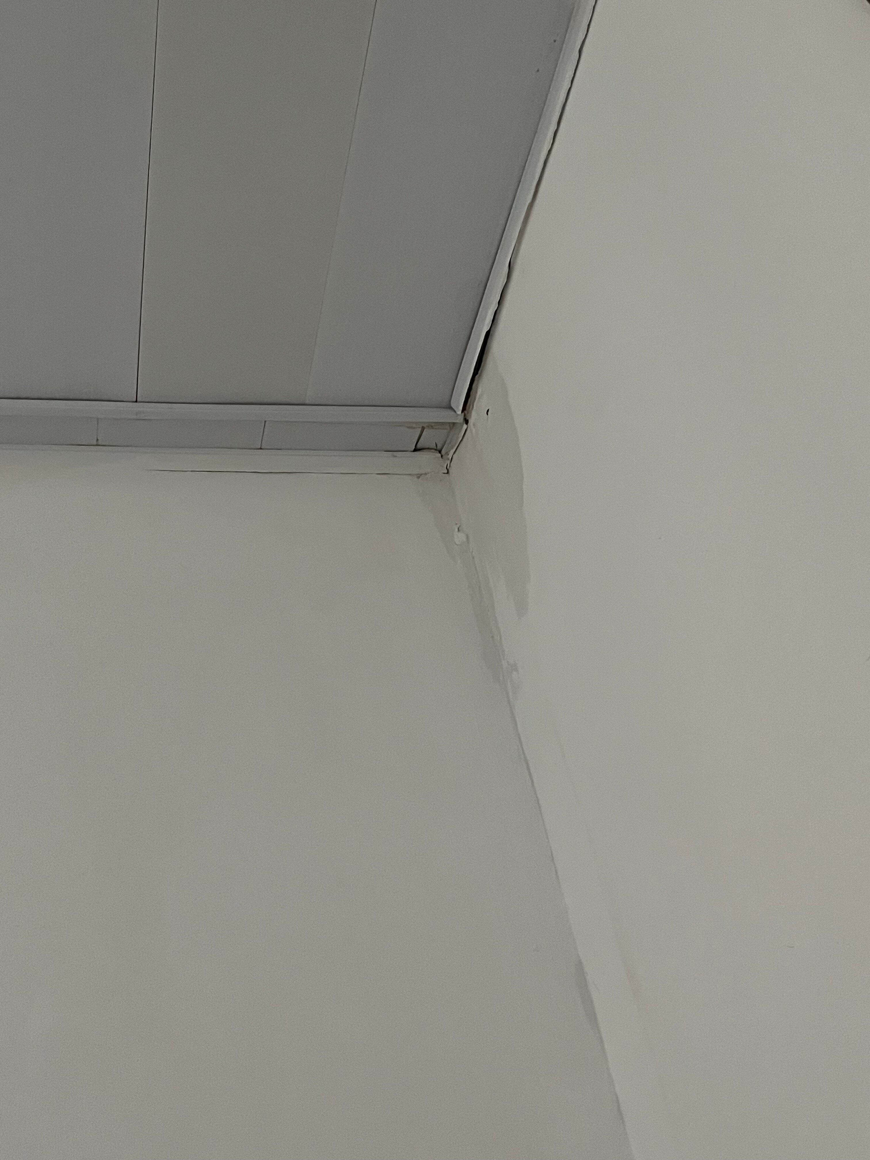 Фото Кристина