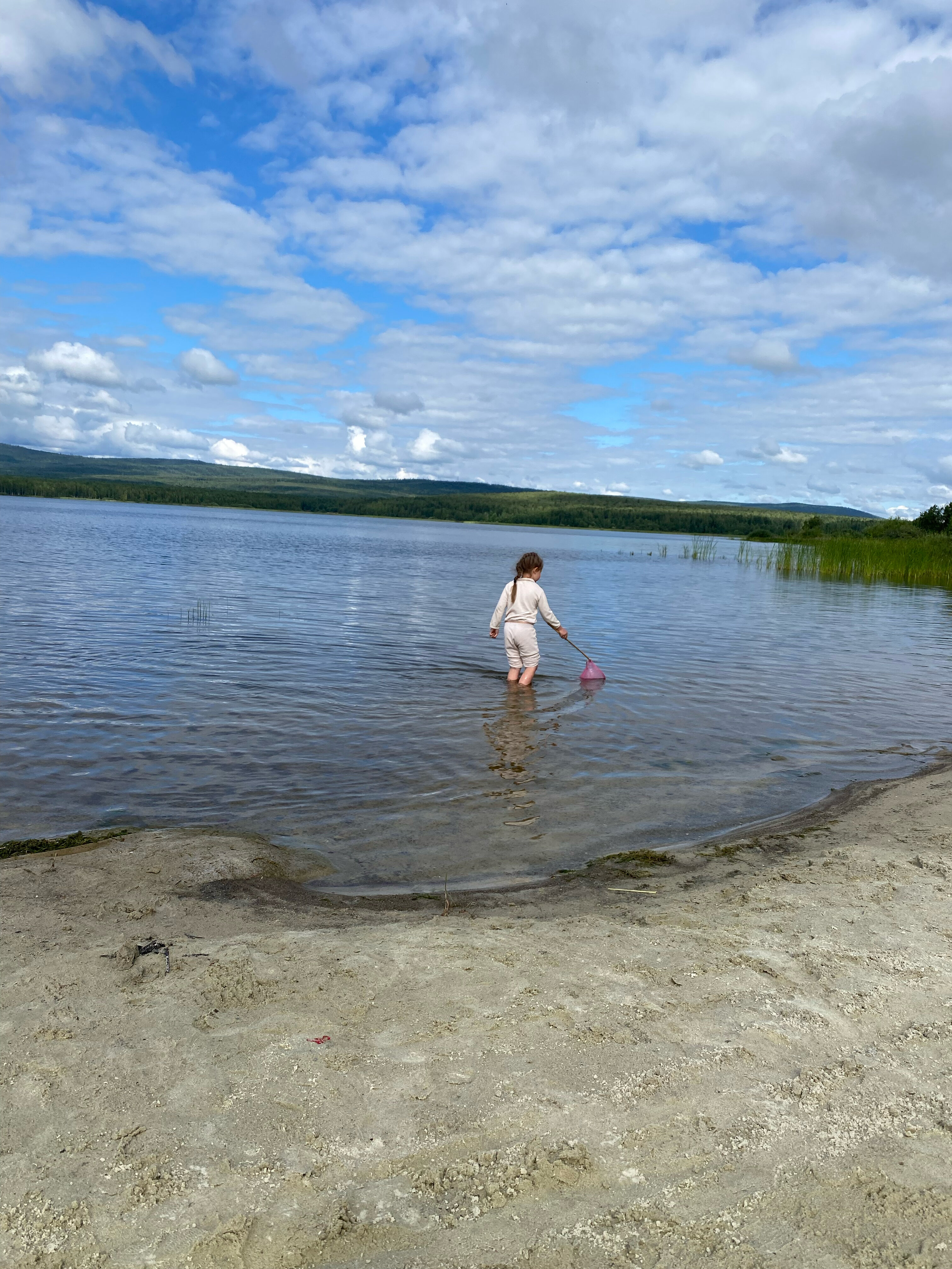 Фото Вогульский крокодил