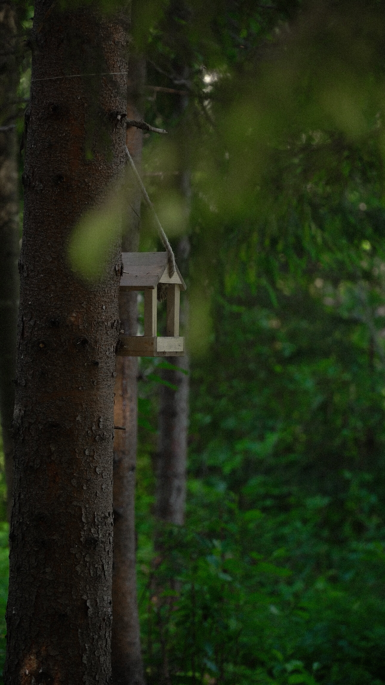 Фото Сметана