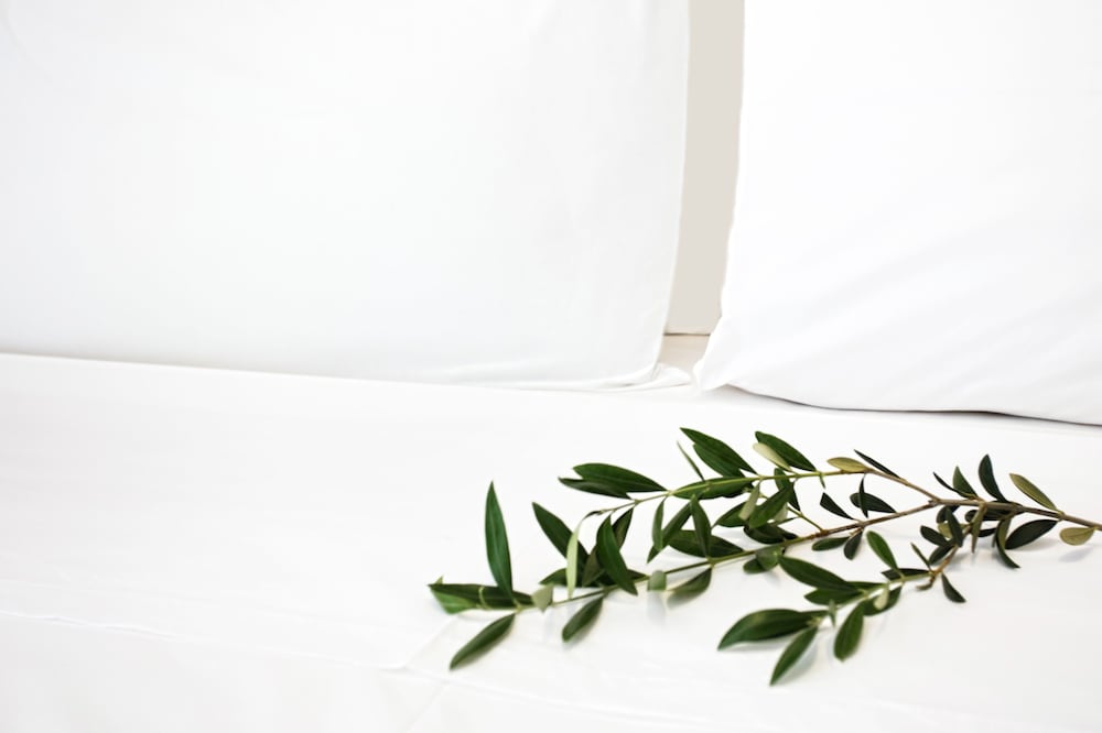 Фото Atlas Hotel Skiathos