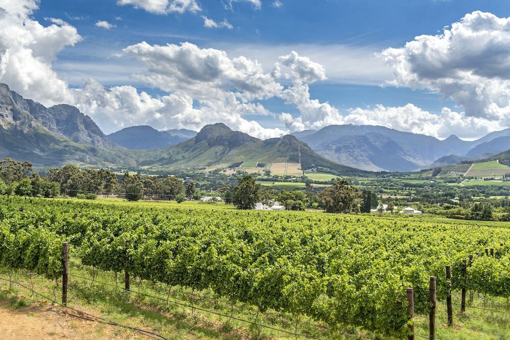 Фото La Fontaine