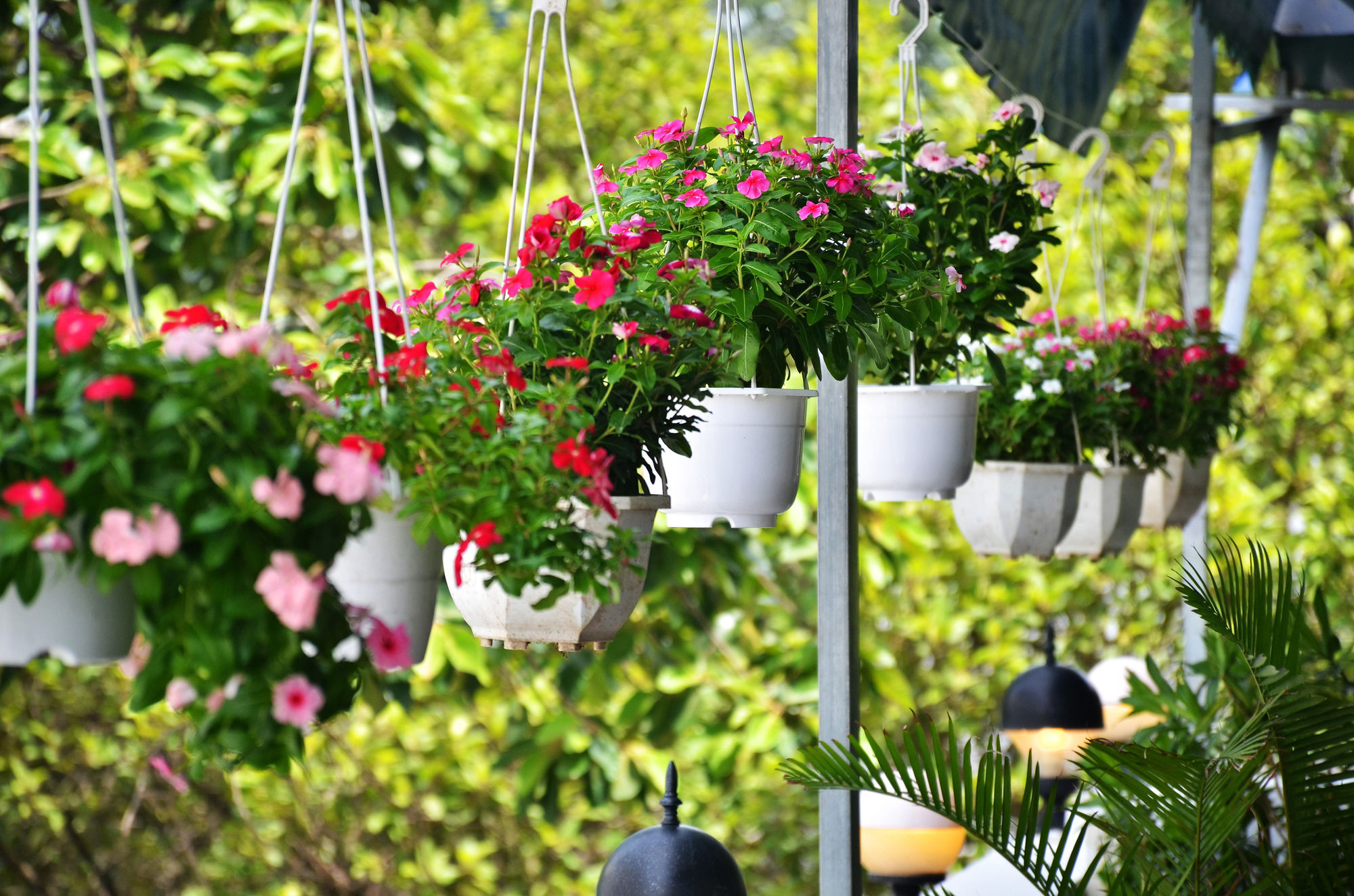 Фото Sense Legend Hotel