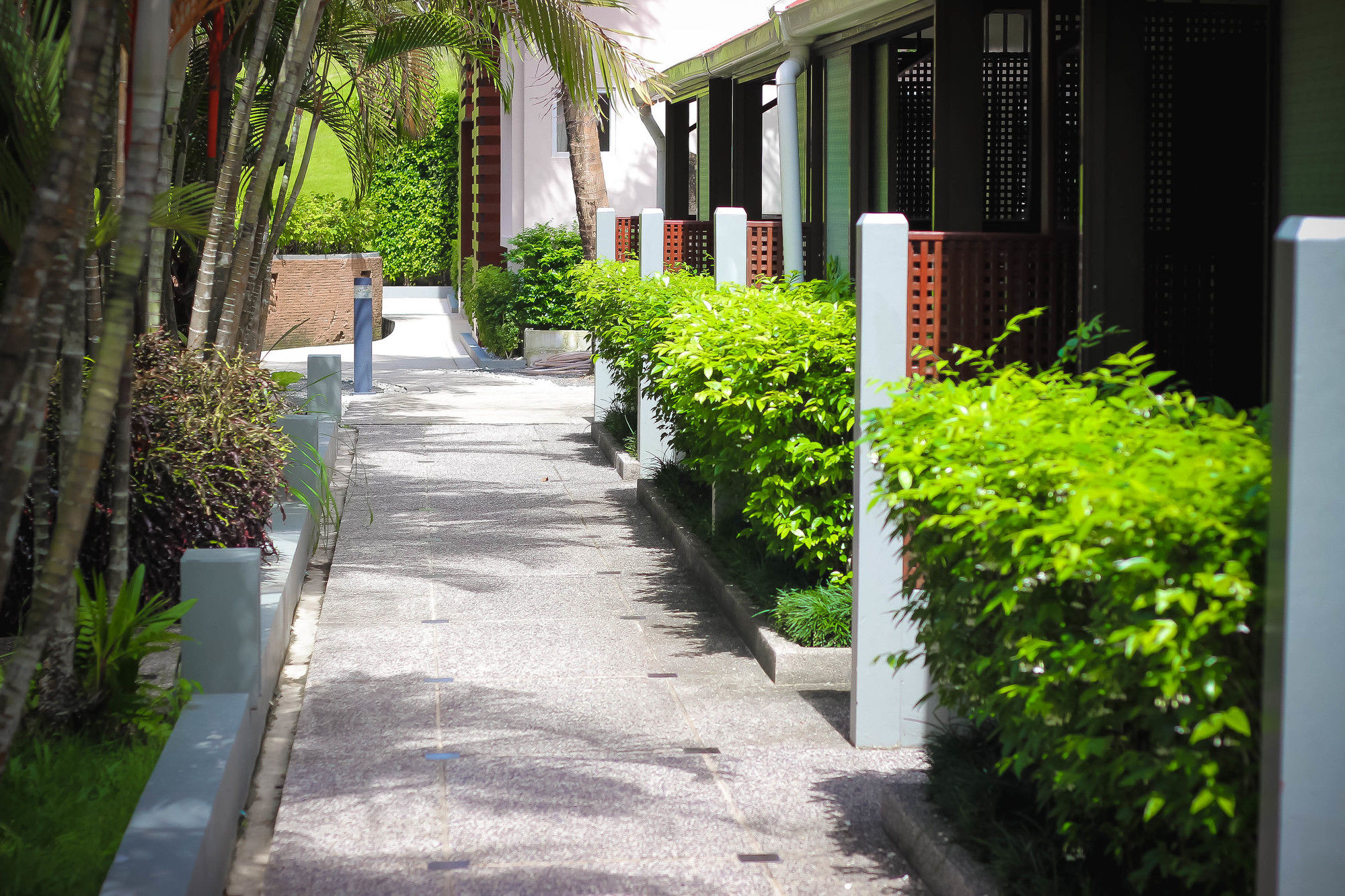 Фото Royal Lee Resort & SPA