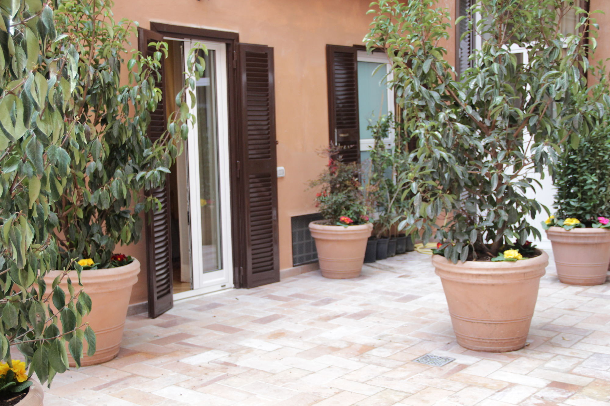 Фото Ingrami Suites