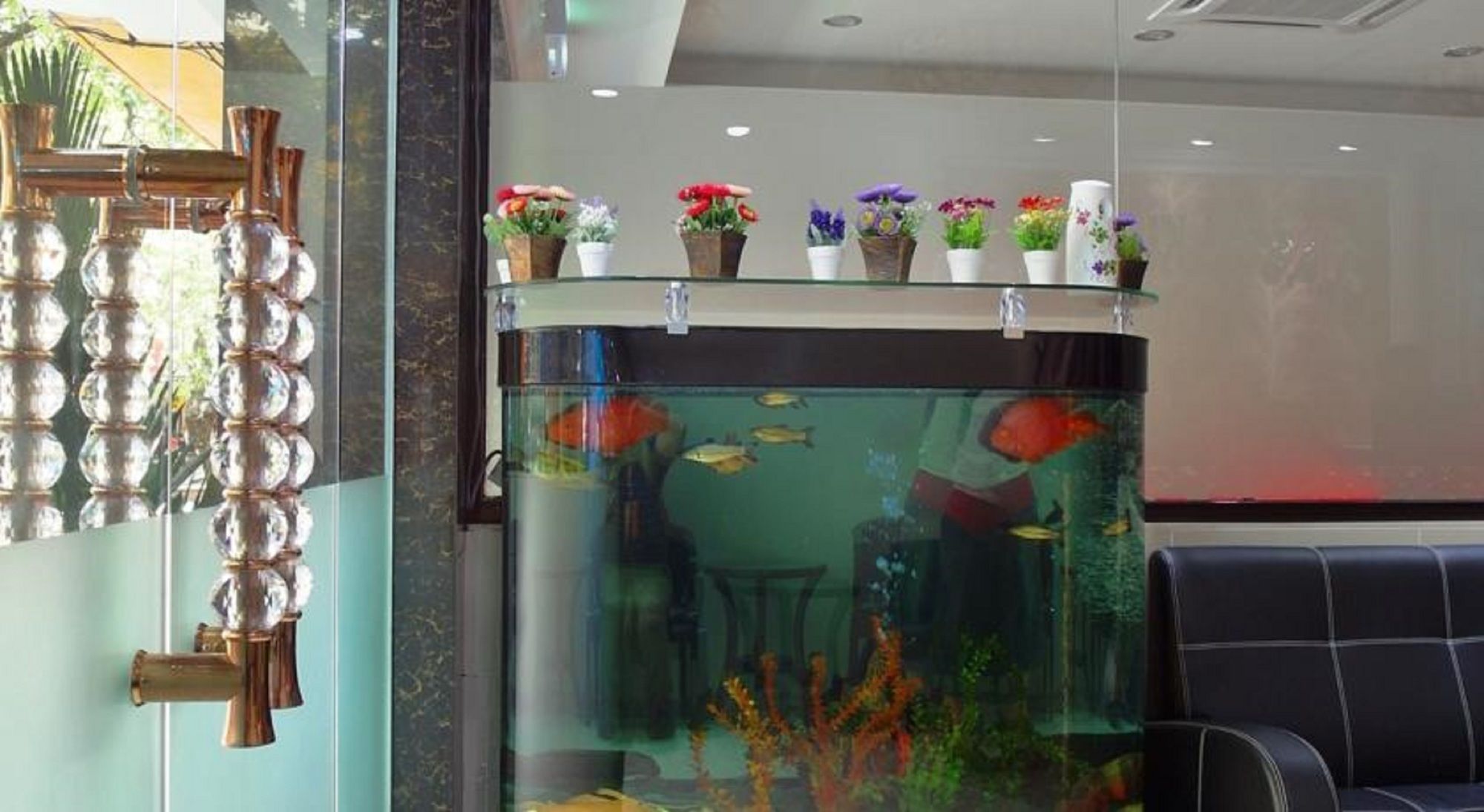 Фото Classic Kinabalu Hotel