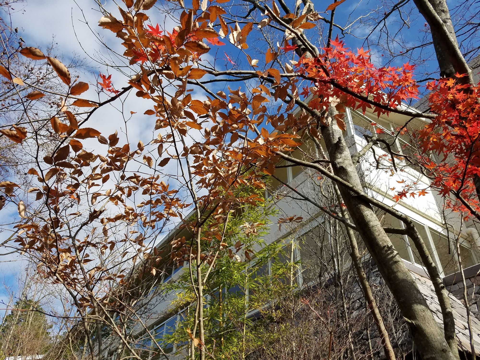 Фото Yufuin Besso Shikisai Hotel