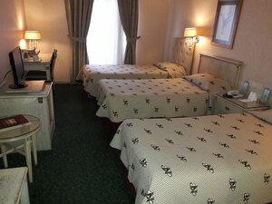 Гостиница The Wings Hotels Neva Palas