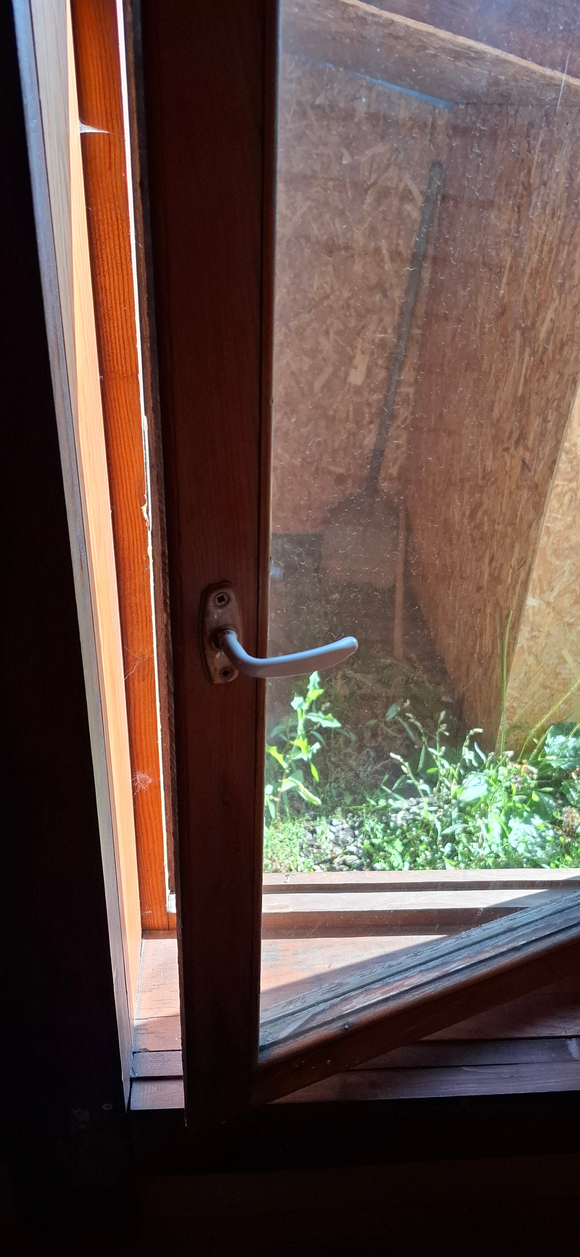 Фото Кедровый Дом Кочиевских