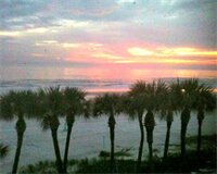 Фото Flamingo Inn Beachfront