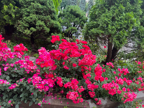 Внешний вид отеля Гранд Отель Тянь Шань в Алматах, фото 4