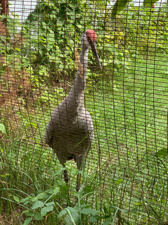 Фото НиКиТа