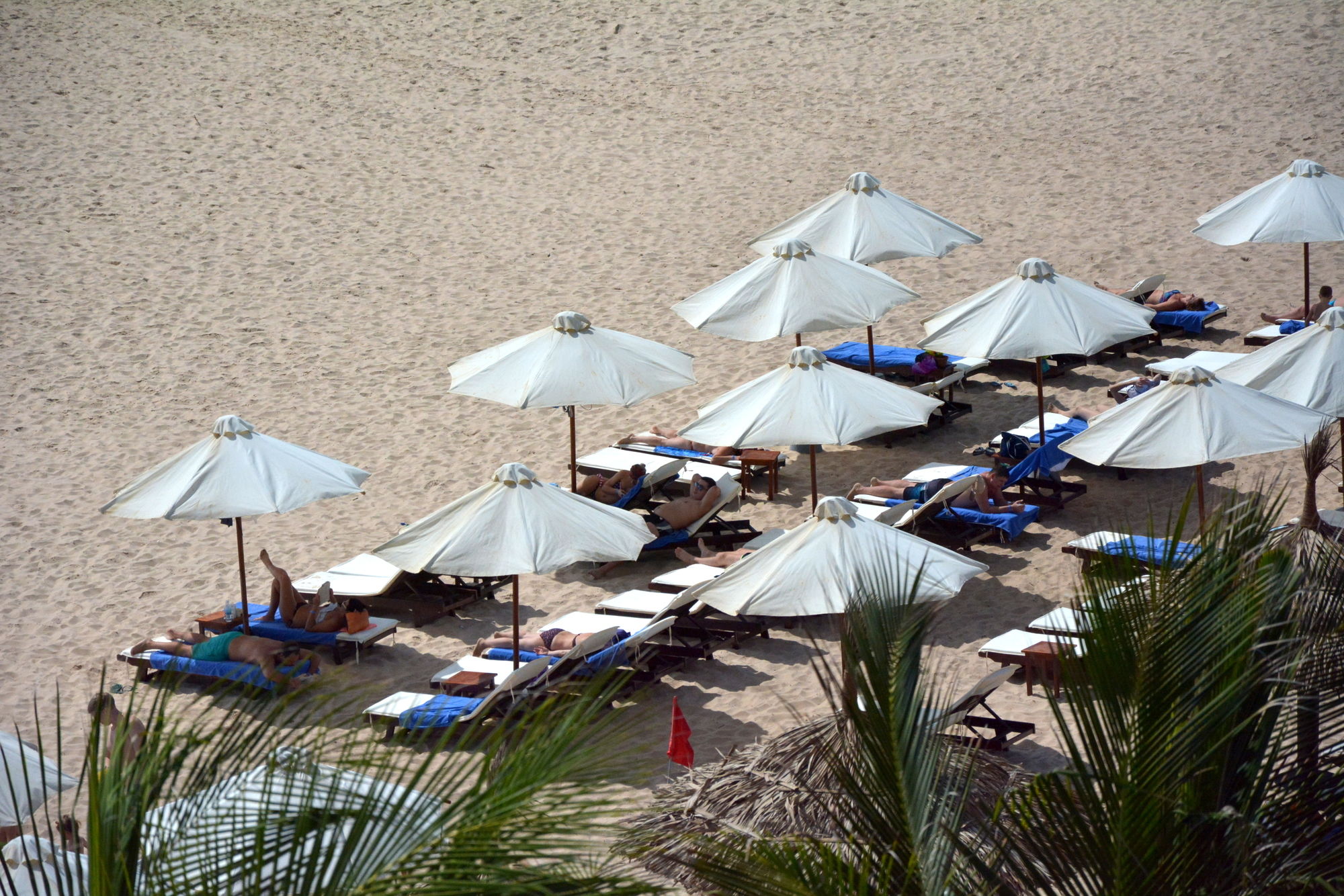 Фото Sea Lion Beach Resort Mui Ne