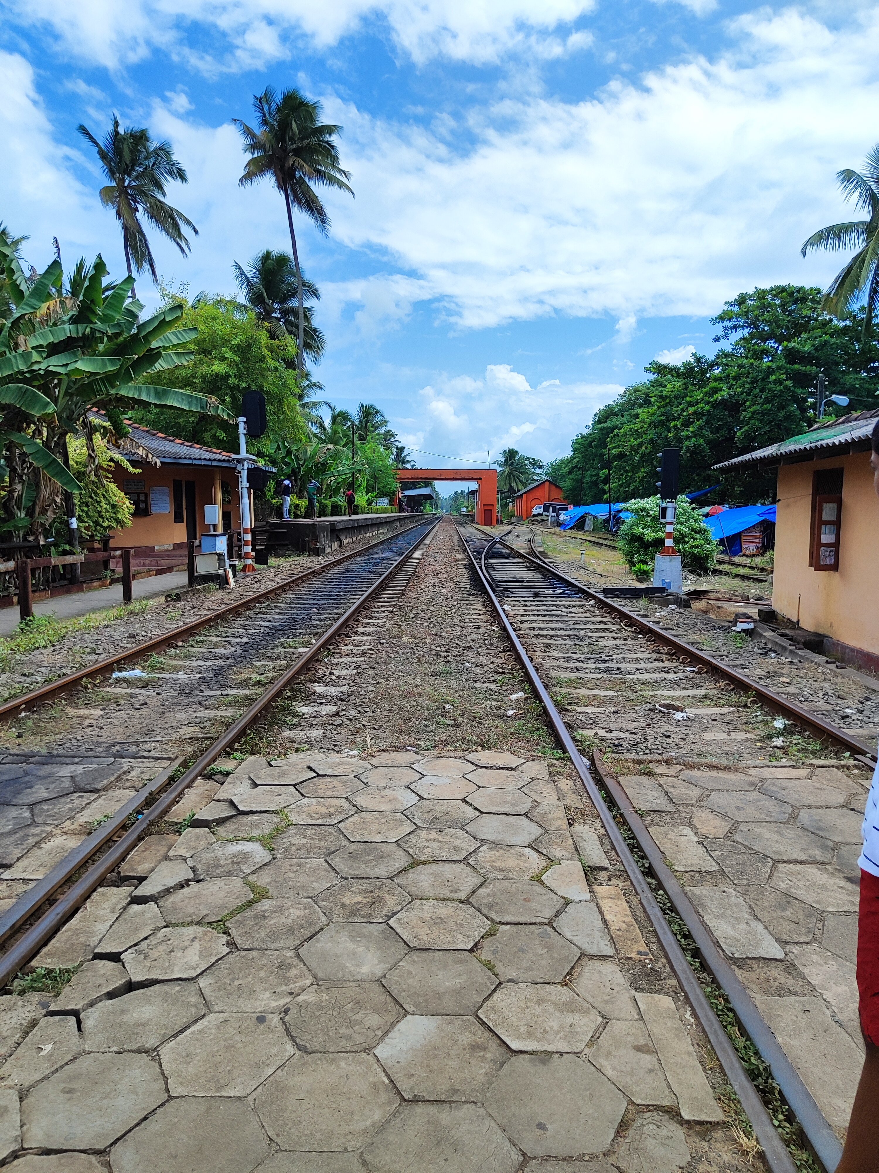 Фото Citrus Hikkaduwa
