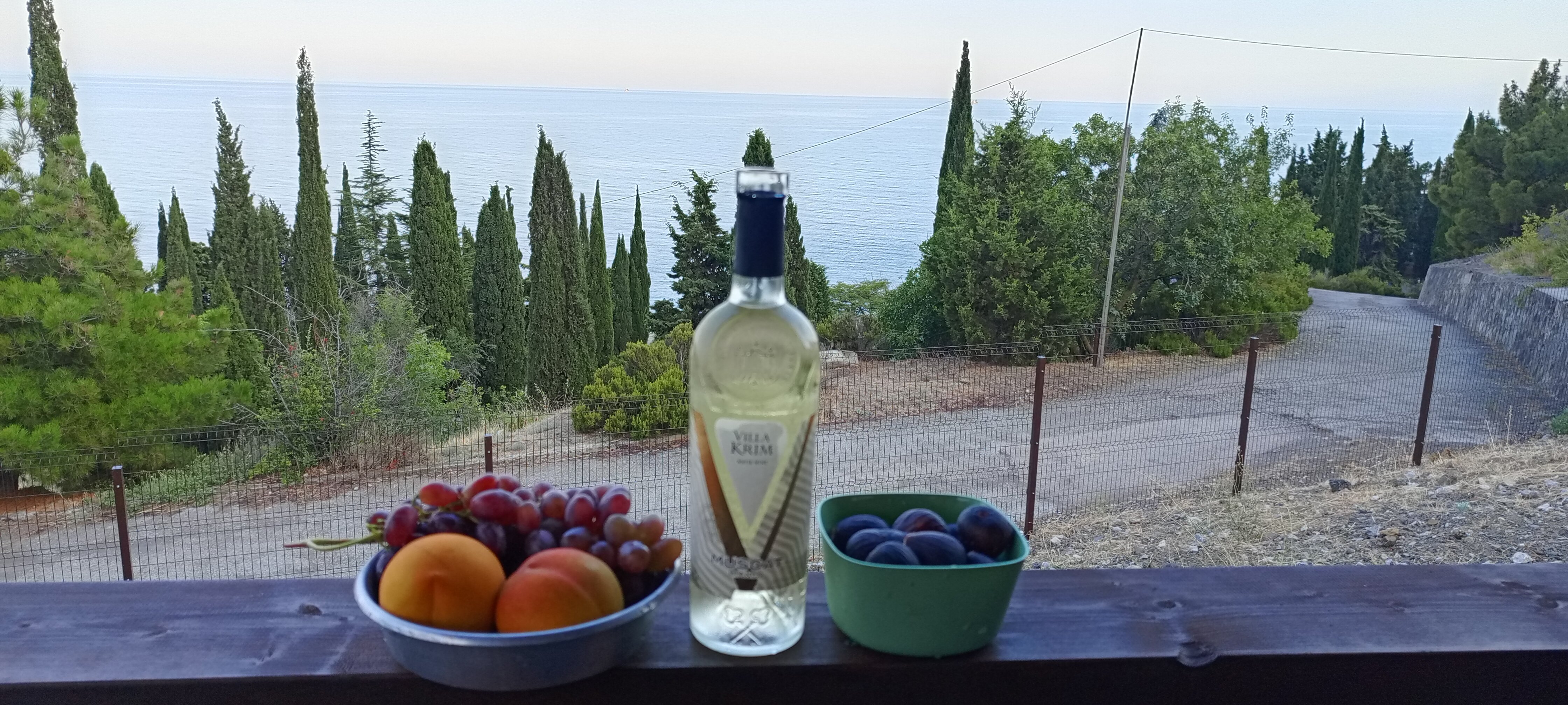 Фото Видовой