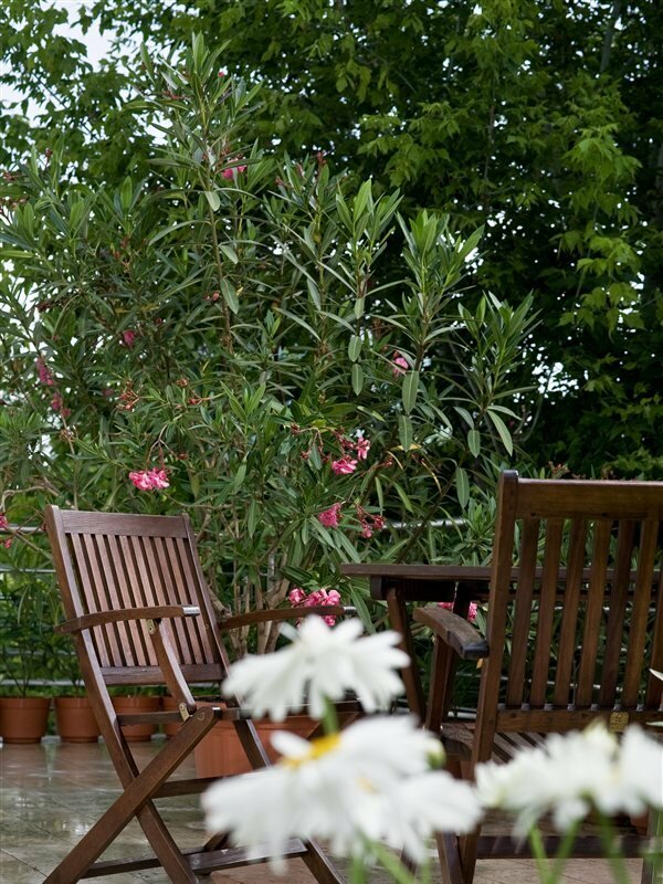 Фото Jagello Business Hotel