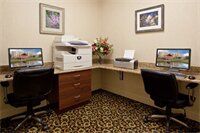 Фото Holiday Inn Express & Suites Rochester Webster, an Ihg Hotel