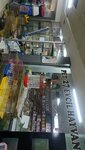 Ugur Akvaryum (Gaziantep, Sahinbey, Hurriyet Avenue, 2G) ، أحواض السمك