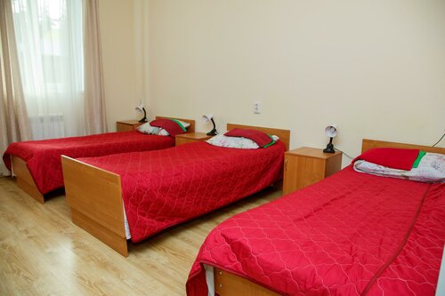 Hotel  Bor, Saint‑Petersburg and Leningrad Oblast, photo