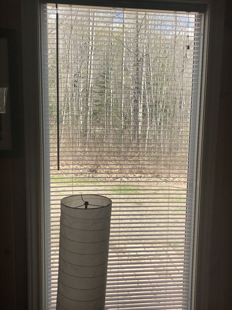 Фото Hush Lodge & Cottages