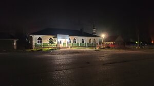 Гузель (Republic of Bashkortostan, Ishimbayskiy rayon, selo Isheyevo), mosque