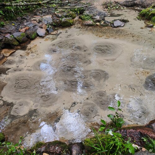 Pınar, çay Источник живой и мертвой воды, Grodnenskaya oblastı, foto
