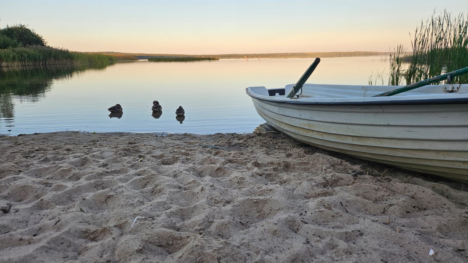 Фото Залесская дача