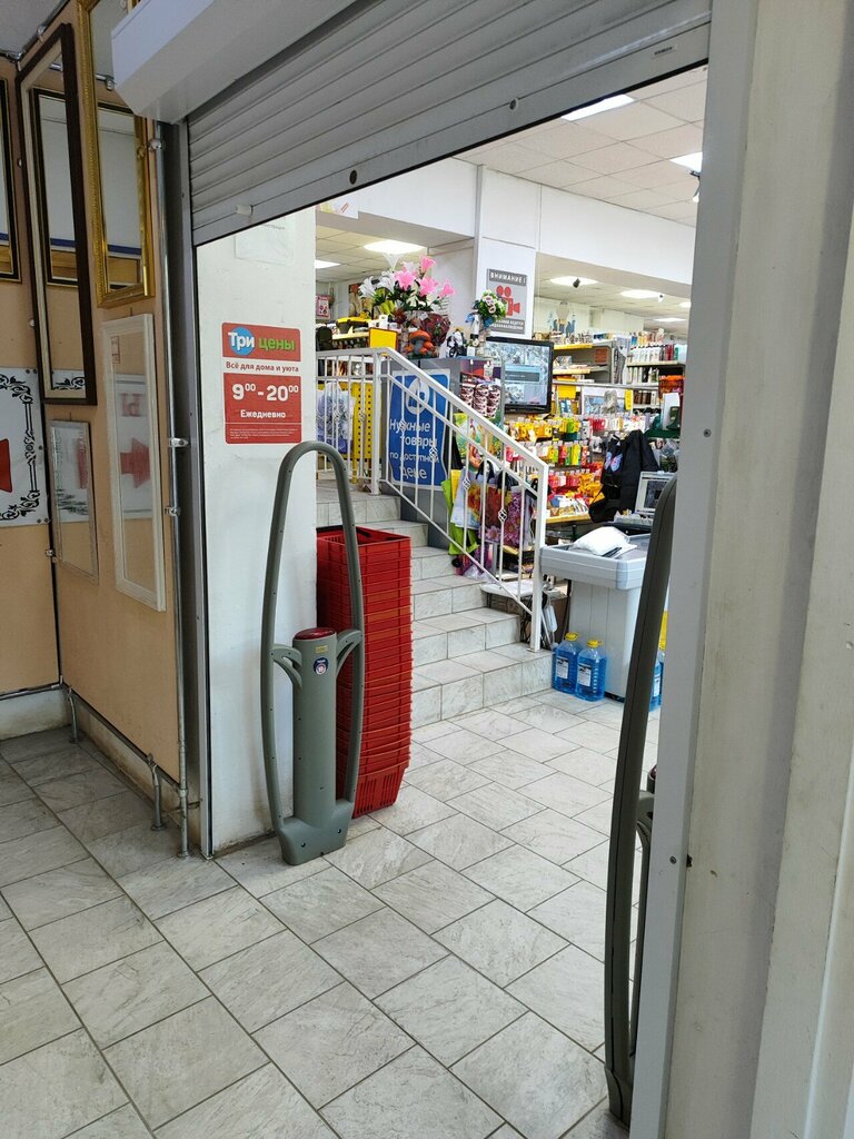 Household goods and chemicals shop Magazin Tvoya tsena, Tikhvin, photo