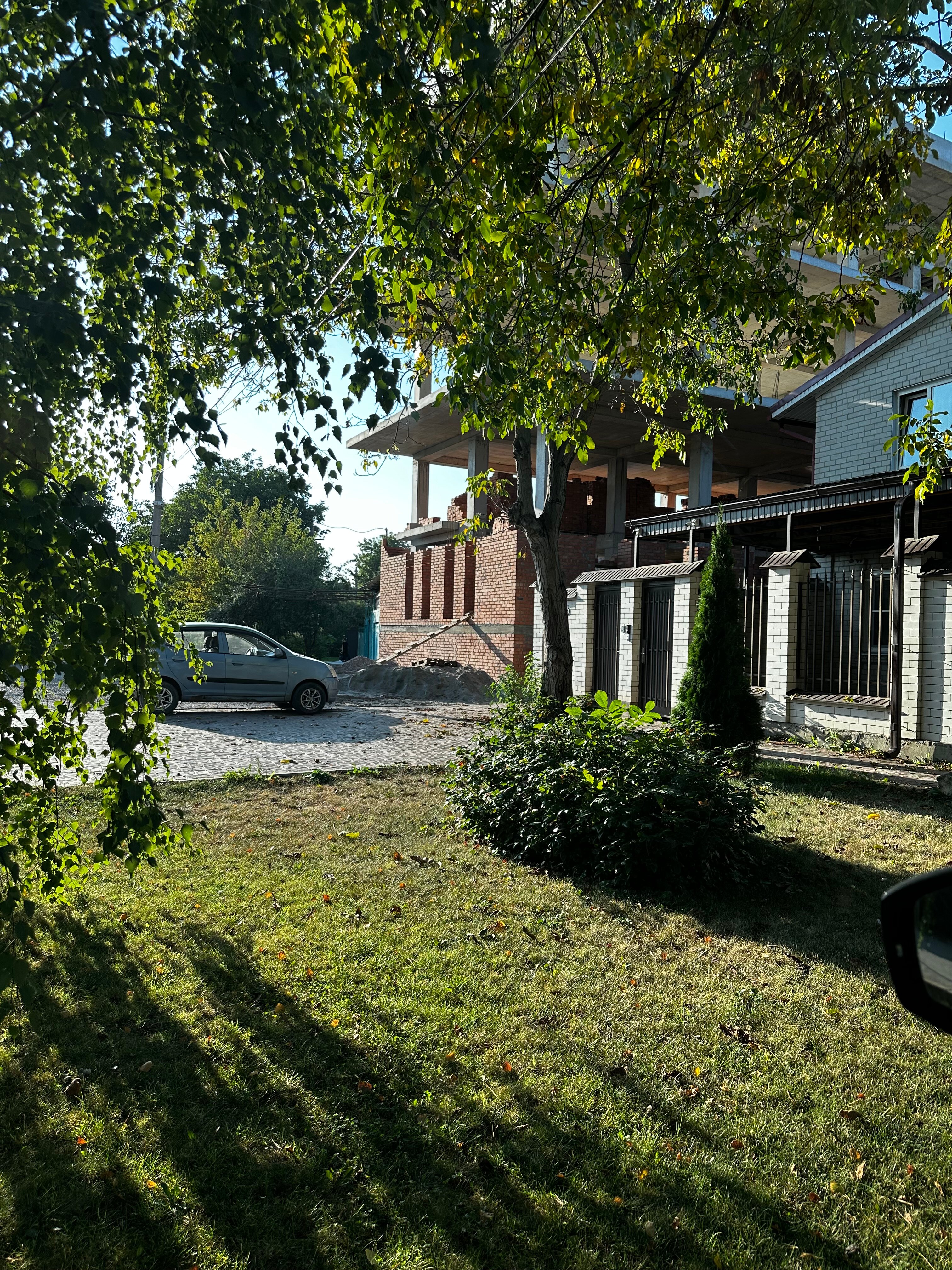 Фото Форест