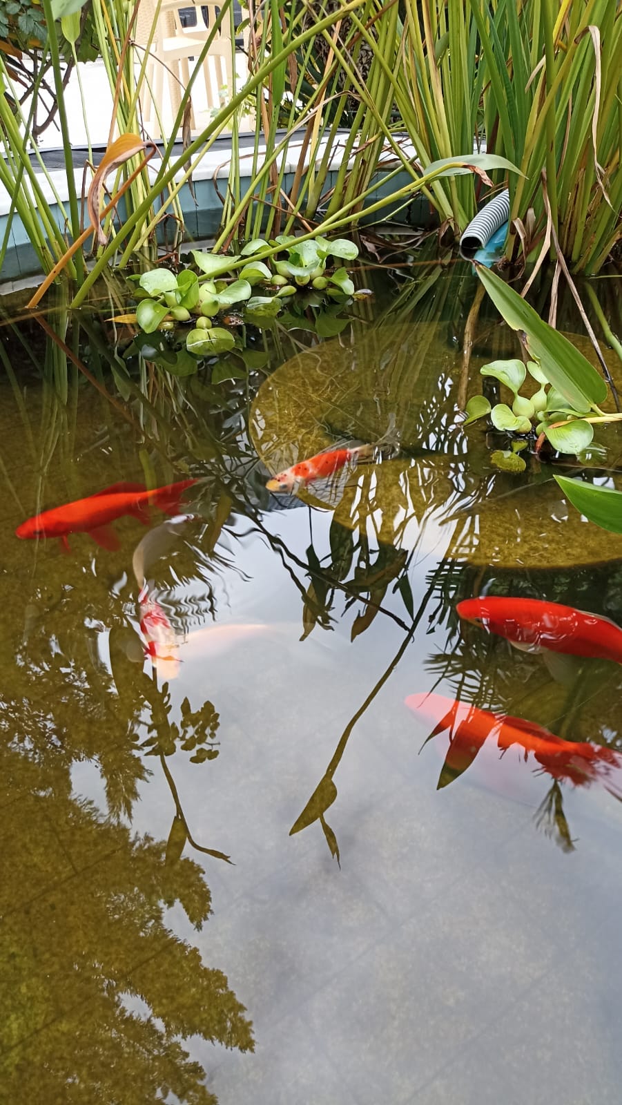 Фото Чак-чак