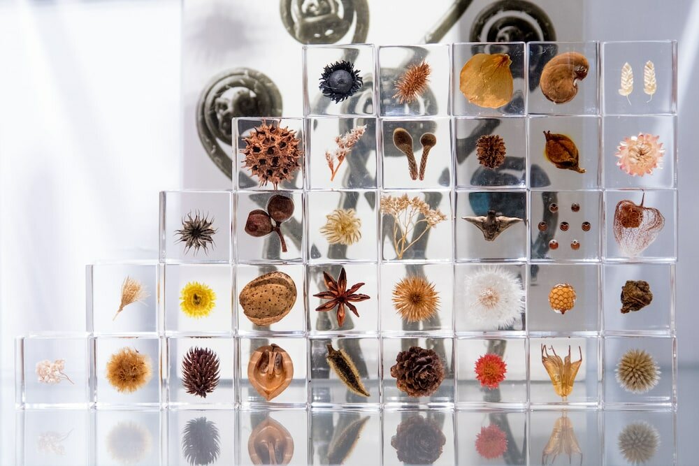 Фото Usagi no Nedoko