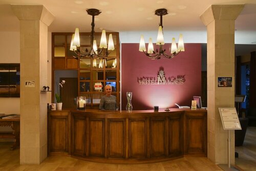 Гостиница Hôtel des Vignes