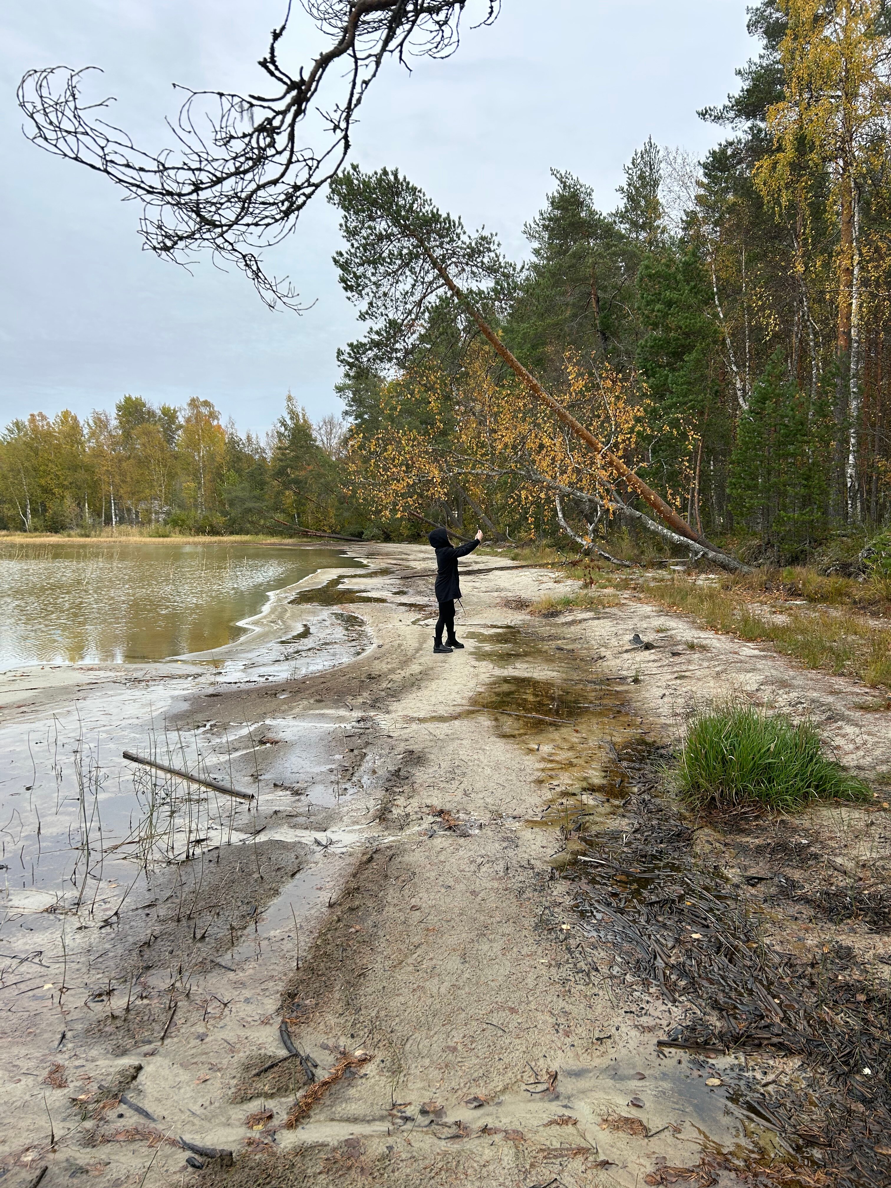 Фото Villi Honka