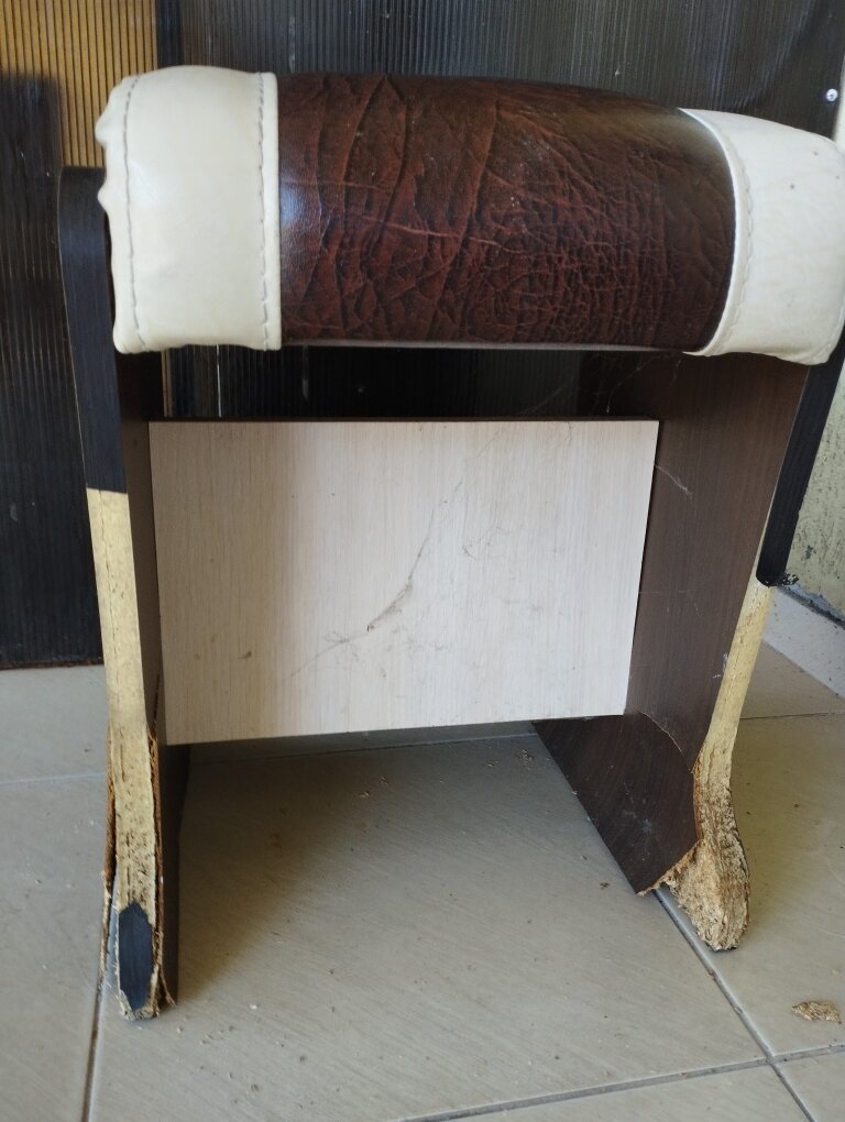 Фото Орхидея