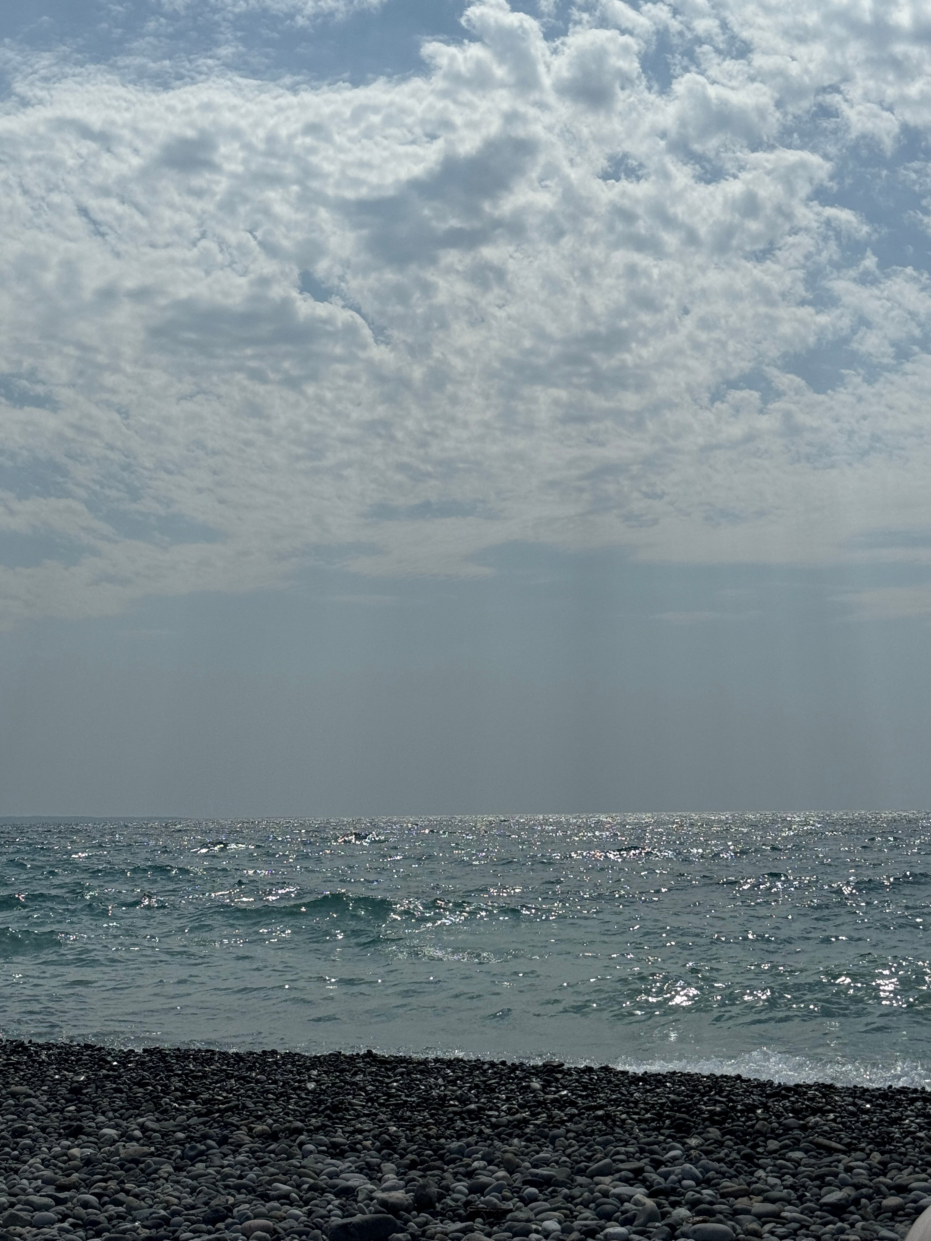 Фото Тристан