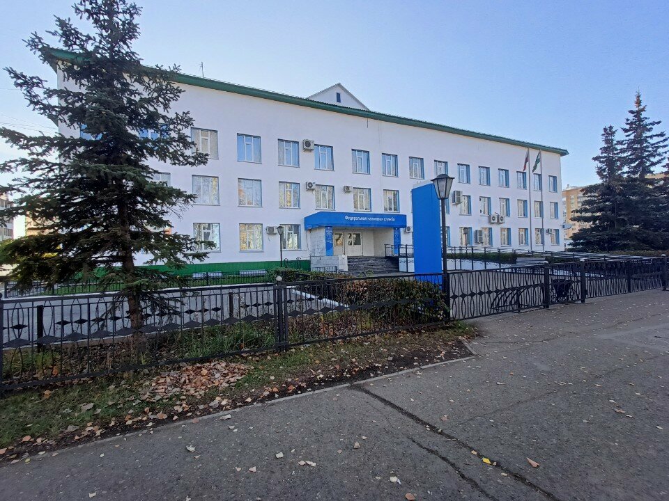 Tax auditing Tax Office № 29, Nephtekamsk, photo